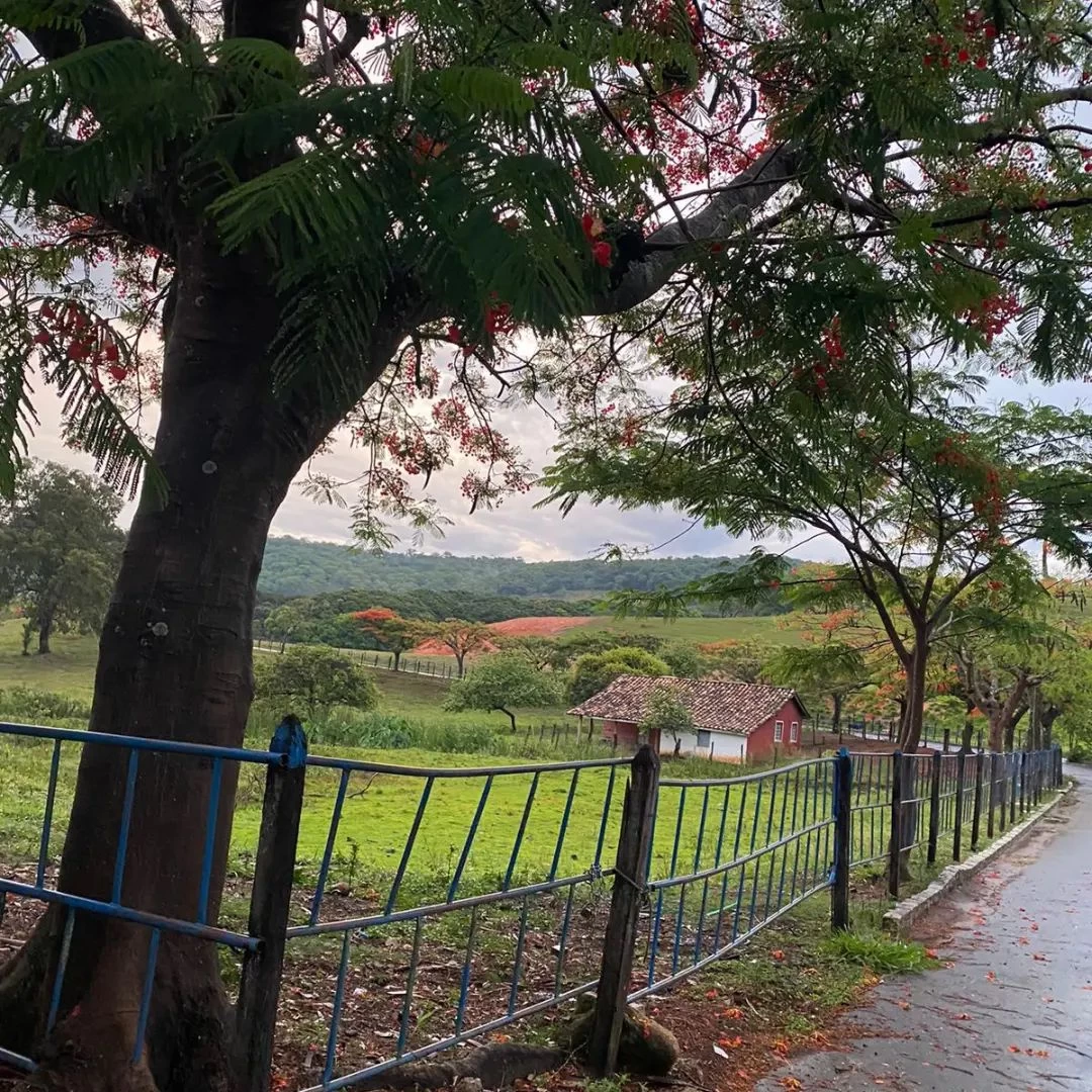 🍀  #vemprafazenda #pescanoturna #pescaesportiva #comidamineira